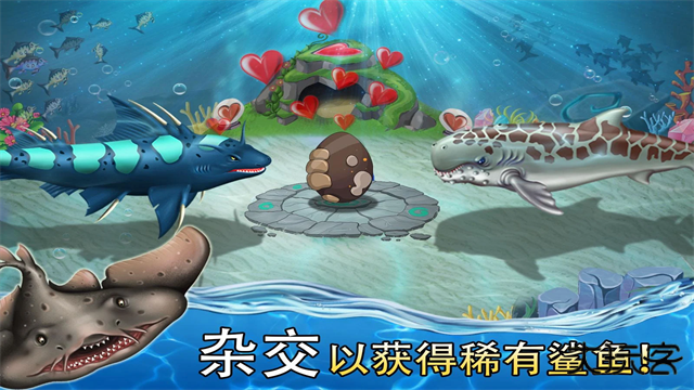 鲨鱼世界最新版下载