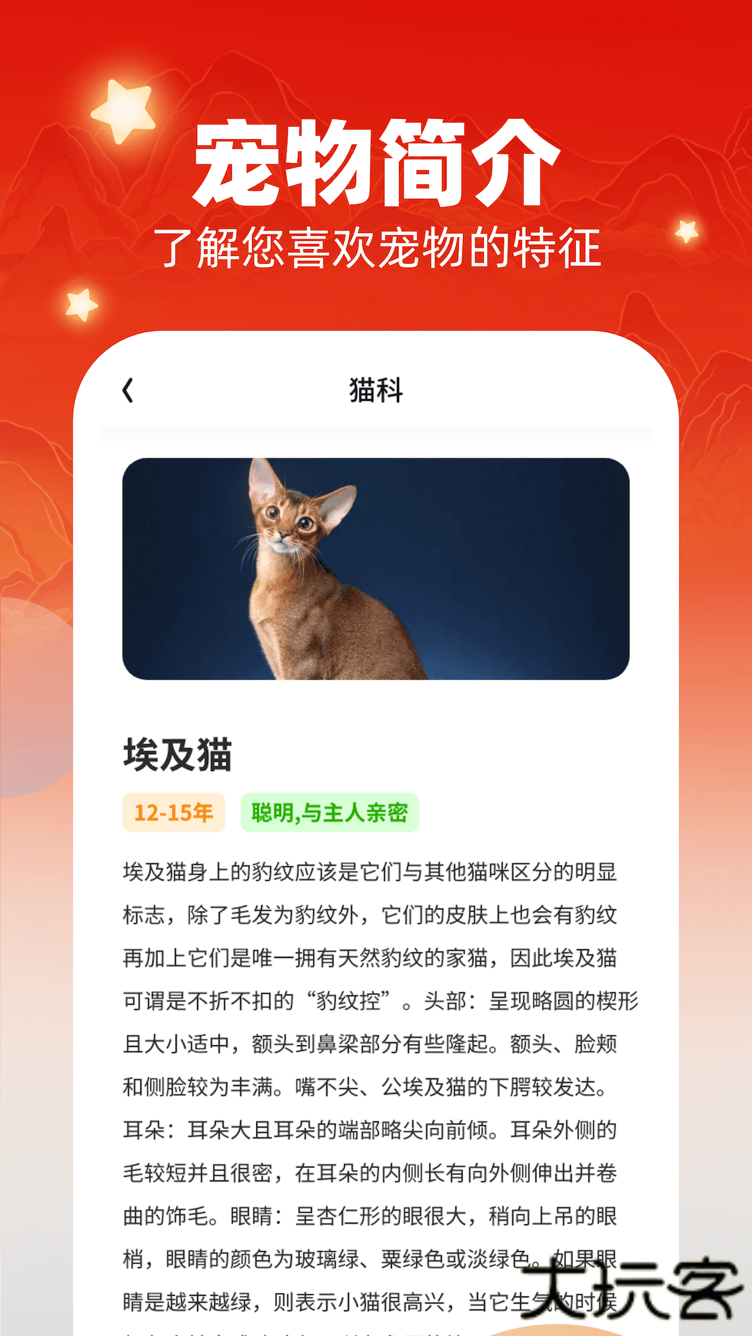 畅快汇看安卓版