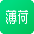 薄荷免费下载
