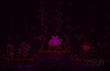 泰拉瑞亚1.4.4.9存档版