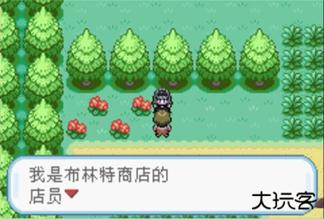 口袋妖怪火红叶绿
