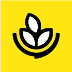 燕麦烘焙免费下载