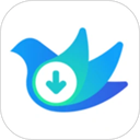 云雀idm网页视频器app下载