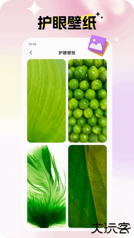 灵蝶壁纸2026新版下载