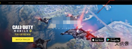 使命召唤战区国际服