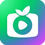 奇异果tv版免费下载