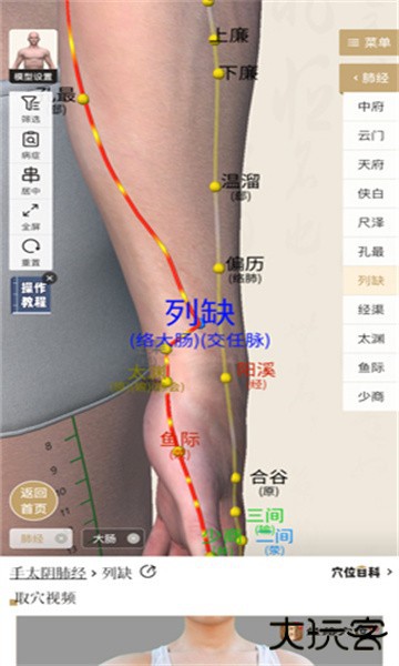 中济经络穴位软件最新版