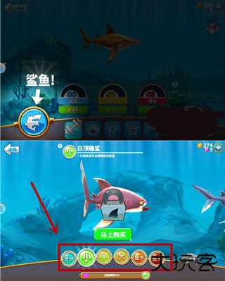 饥饿鲨世界国际服正版