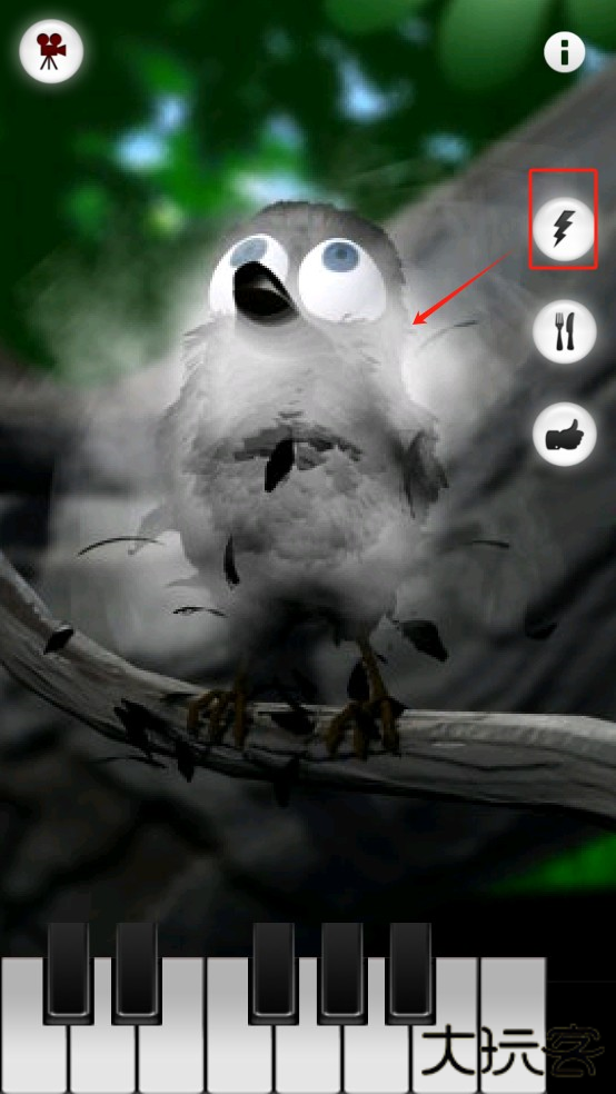 会说话的拉里鸟最新版