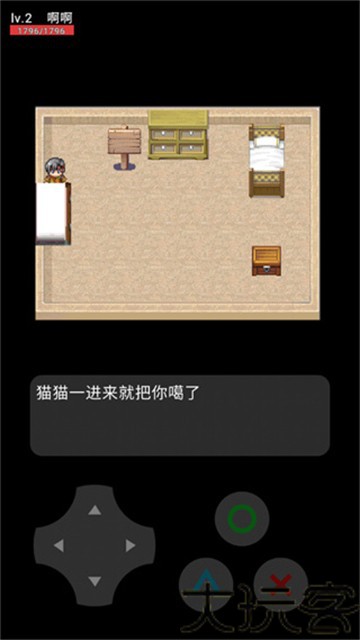 猫猫惊魂