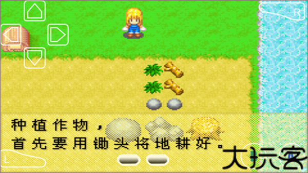 牧场物语女孩版