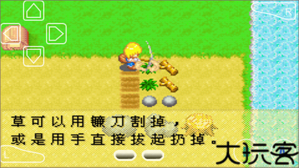 牧场物语女孩版
