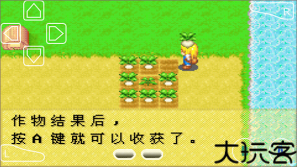 牧场物语女孩版