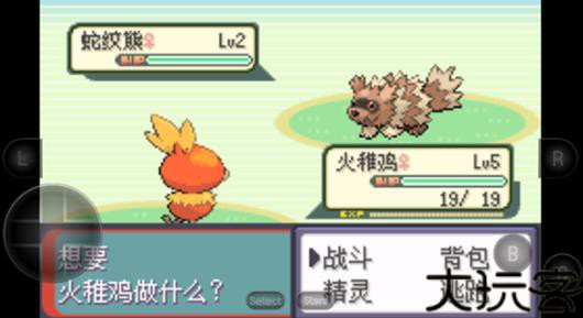 GBA宠物小精灵绿宝石