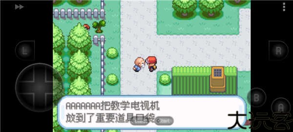 口袋妖怪圣灰汉化版