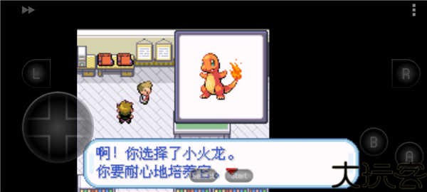 口袋妖怪圣灰汉化版