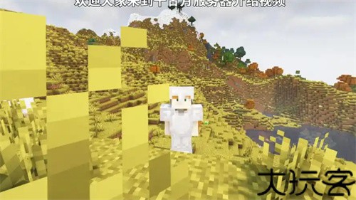 minecraft1.19生存服