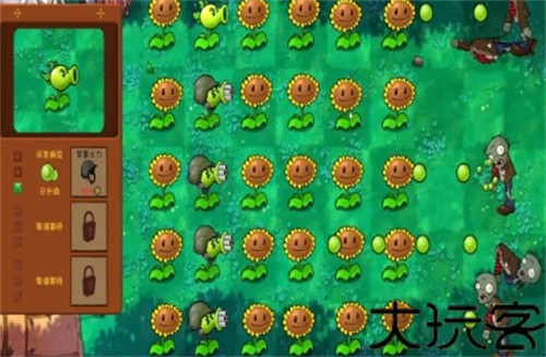 植物大战僵尸共生版