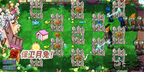 植物大战僵尸共生版