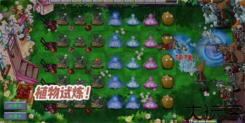 植物大战僵尸共生版