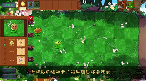 植物大战僵尸共生版