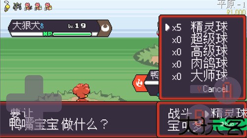 宝可梦肉鸽妖梦