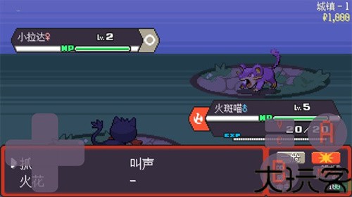 宝可梦肉鸽妖梦