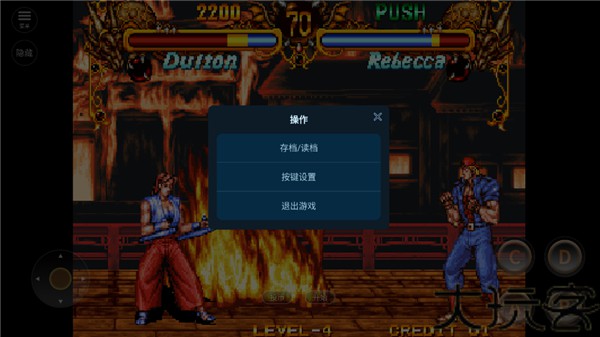 双截龙格斗