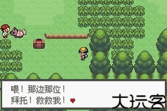 口袋妖怪极光石
