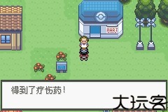 口袋妖怪极光石