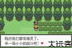 口袋妖怪极光石
