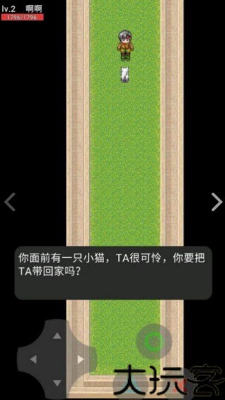 猫猫惊魂