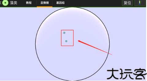 细胞实验室汉化版