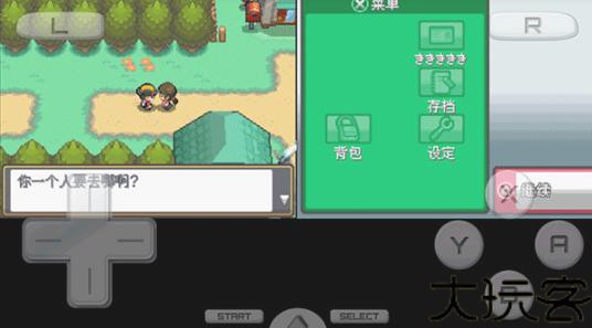 口袋妖怪起源心金
