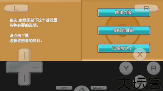 口袋妖怪起源心金