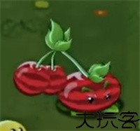 植物大战僵尸转基因版