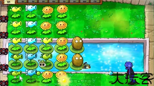植物大战僵尸繁琐版