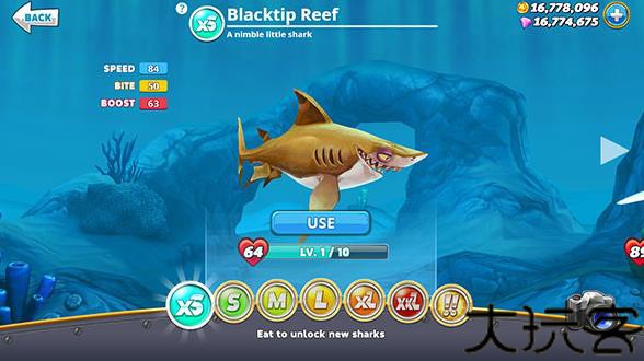 hungryshark