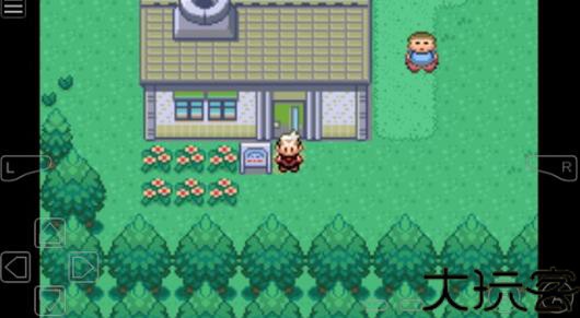 口袋妖怪燃烧绿宝石