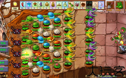 植物大战僵尸D AH版