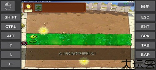 植物大战僵尸95版