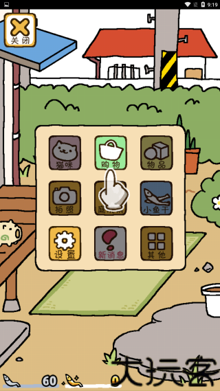 猫咪后院2