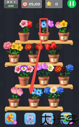 插花小屋