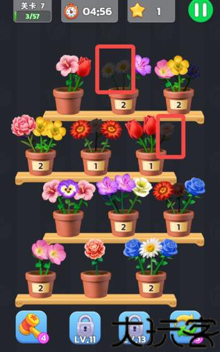 插花小屋