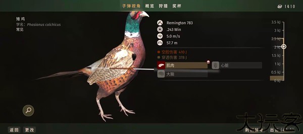 猎人之路