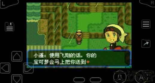 口袋妖怪绿宝石随机版