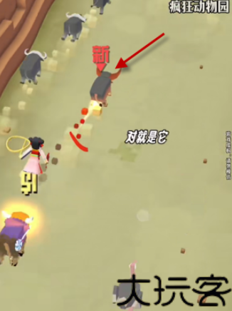 疯狂动物园