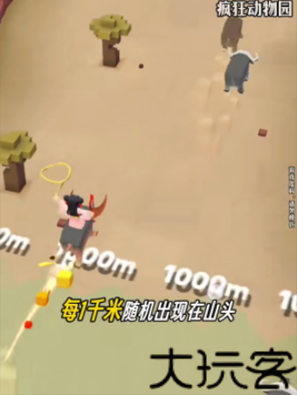 疯狂动物园