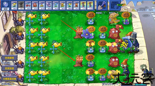 植物大战僵尸星座版