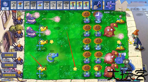植物大战僵尸星座版